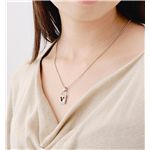 �~�b�L�[���E����V�R�_�C���y���_���g �J�x�i