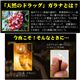 ピュアガラナ 写真5