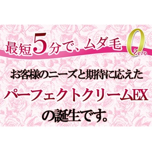 ラブリーゾーン 薬用パーフェクトクリームEX【ムダ毛処理クリーム】