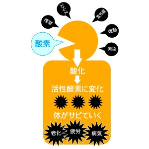 NEWスーパーH2【水素水】