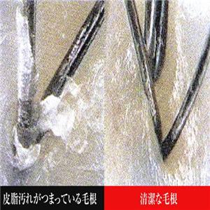 �A�������G�b�Z���X