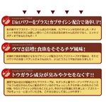 プゴクスープ チゲ風味(20食入り×3袋)