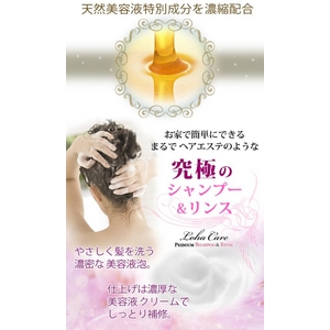 ���n�P�A�@�v���~�A�������X