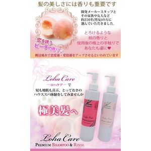 ���n�P�A�@�v���~�A�������X