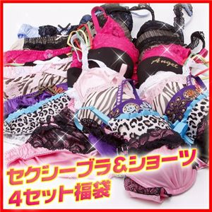 セクシーブラ&ショーツ 福袋 D75/M