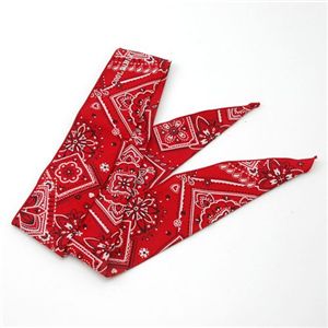 �⊴�X�J�[�t�@�N�[���r�r �o���_�i���b�h�i�V���[�g�T�C�Y�j