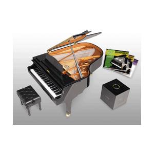グランドピアニストwithYAMAHA