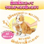 セガトイズ 　夢ねこハート