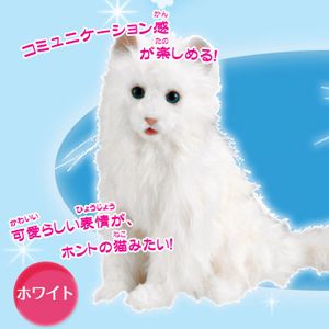 夢ねこスマイル ホワイト」を販売する通販サイト‐グレート