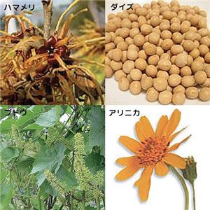 �z�C�b�v�p�b�N�@30��