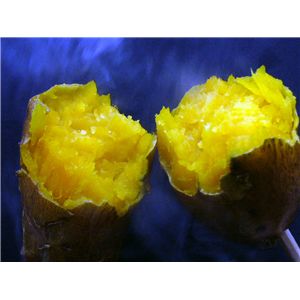 幻の蜜芋・種子島あんのう芋2種セット 5kg(紅芋・黄金芋)