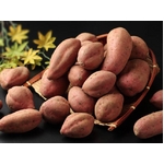�y�󂠂�����z�����������I�˂��Ƃ��?�����q�� ���� 10kg