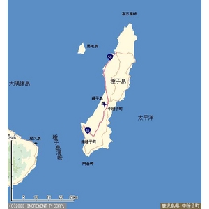 【訳あり特価】蜜がじゅわっ!ねっとり甘〜い♪種子島 蜜芋 10kg