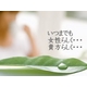 �֥ޥ����ץȥ饤���륻�å� �̿�5