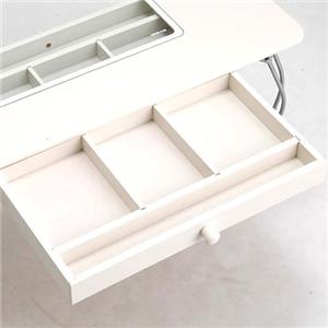 �p�X�e���R���N�V�����e�[�u�� �z���C�g