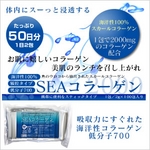 SEA���顼����