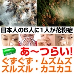 �A�g�s�i���C�{�XTX100