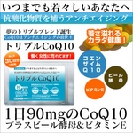 10%OFF���㤤���ڥȥ�ץ�COQ10��3����ʬ