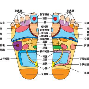 出ない場合は元から画像がありませんm(__)m