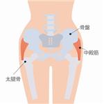 中殿筋スパッツ Mサイズ 2枚組