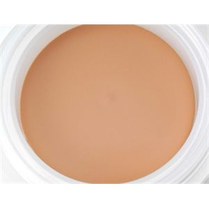 CHANEL(シャネル) タンコンパクト クリームユニヴェルセル 50番