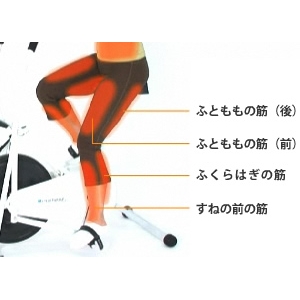 【平日15時までのご注文で即日発送】サイクルツイスタースリム