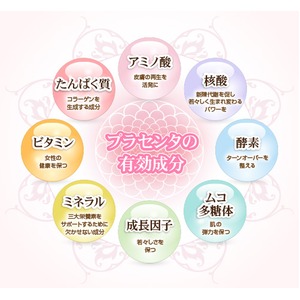 プラセントケア100プラス