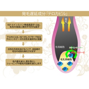 リエナ エピローション 150ｍｌ 【2個セット】