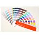 PANTONE �t�H�[�~�����[�K�C�h�E�}�b�g�R�[�g��