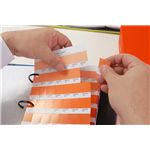 PANTONE ソリッドチップス 3冊組
