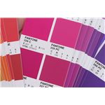 PANTONE カラー・ブリッジ　コート紙
