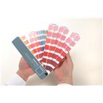 PANTONE カラー・ブリッジ　上質紙