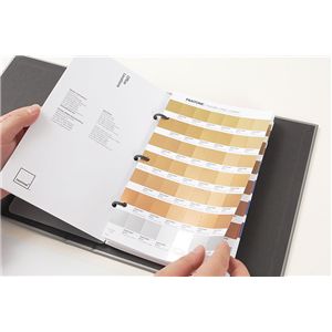 PANTONE メタリックチップス/コート紙