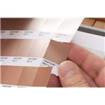 PANTONE メタリックチップス/コート紙