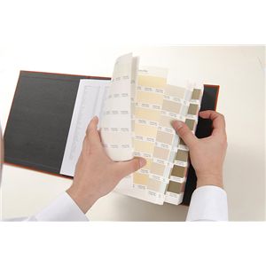 PANTONE F��H�E�J���[�X�y�V�t�@�C���[/�y�[�p�[��