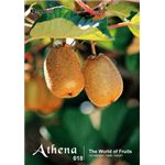 �ʐ^�f�� imageDJ Athena Vol.18 �ʕ��̌i�F