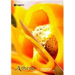 �ʐ^�f�� imageDJ Athena Vol.19 �V�N���