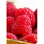�ʐ^�f�� imageDJ Athena Vol.20 �t���[�c