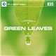 �ʐ^�f�� DAJ035 GREEN LEAVES �y�t���b�V���ȐV�΃C���[�W�z