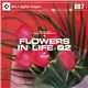 �ʐ^�f�� DAJ087 FLOWERS IN LIFE 02 �y�t�����[�Y�C�����C�t 02�z