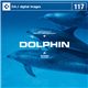 �ʐ^�f�� DAJ117 DOLPHIN �y�C���J�z