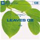 �ʐ^�f�� DAJ138 LEAVES 02 �y�t�S�I 02�z