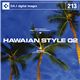 �ʐ^�f�� DAJ213 HAWAIIAN STYLE 02 �y�n���C�A���X�^�C�� 02�z