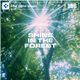 �ʐ^�f�� DAJ156 SHINE IN THE FOREST �y�؉k����z