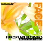 ʐ^f SUPER FINE No.7 EUROPEAN FLOWERS  im̉ԁj