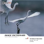 �ʐ^�f�� imageDJ Image Dictionary Vol.6 �쒹