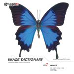 �ʐ^�f�� imageDJ Image Dictionary Vol.7 �����W�{