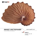 �ʐ^�f�� imageDJ Image Dictionary Vol.8 �L