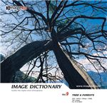 �ʐ^�f�� imageDJ Image Dictionary Vol.9 �؂ƐX