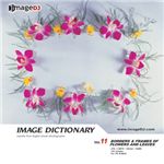 �ʐ^�f�� imageDJ Image Dictionary Vol.11 �ԏ���